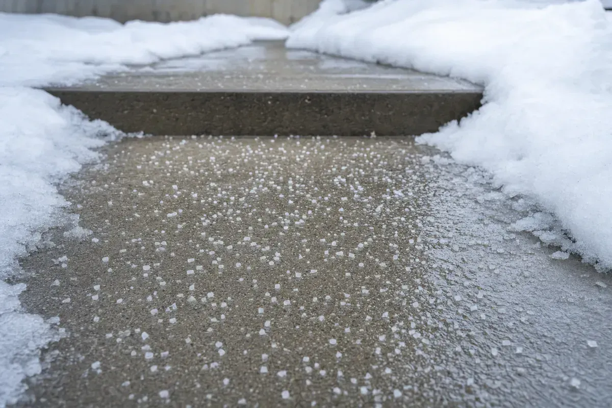 Rock salt spread on a wet Oakville walkway for ice control